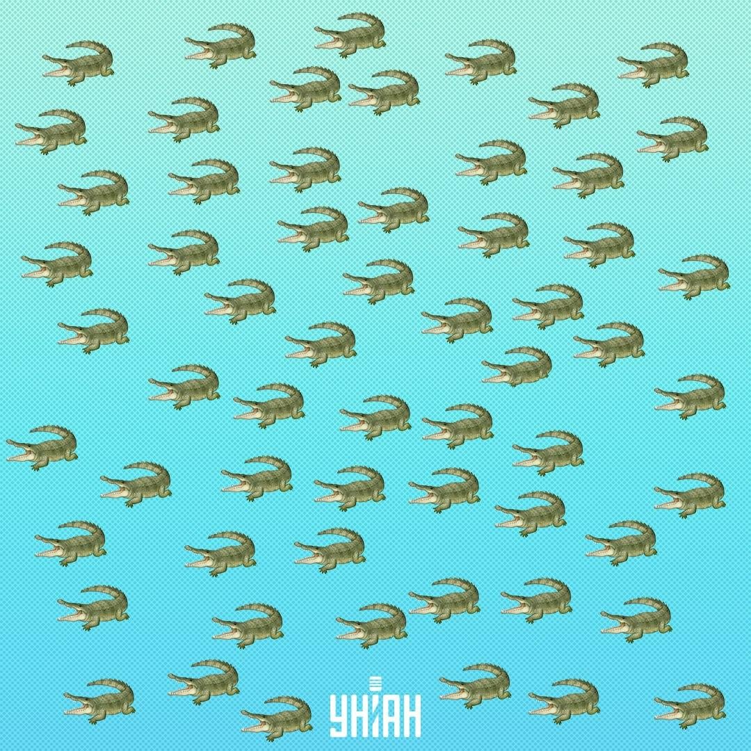 Plaz je skrytý, ale měli byste ho vidět za 15 sekund / Koláž Moje