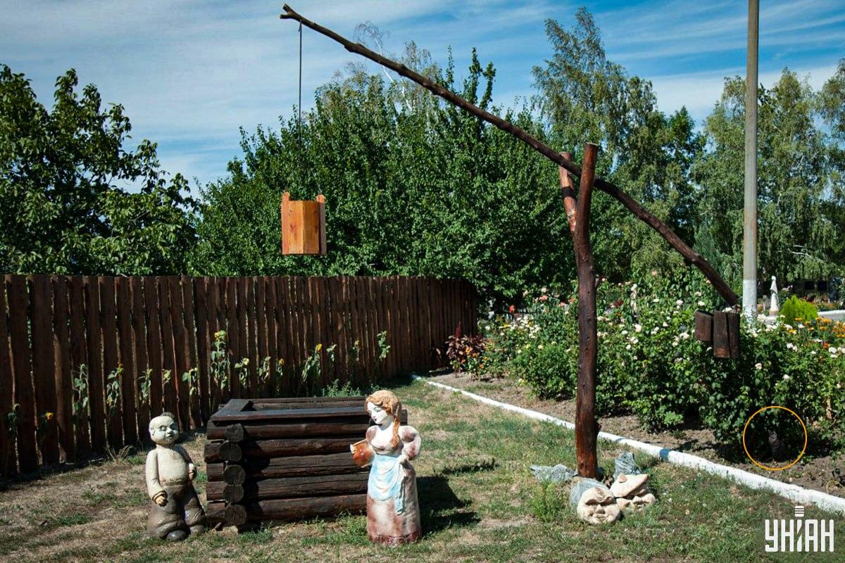 Kočka byla v záhonku / koláž Moje