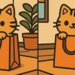 IQ test: najděte 3 rozdíly na obrázku roztomilé kočky za